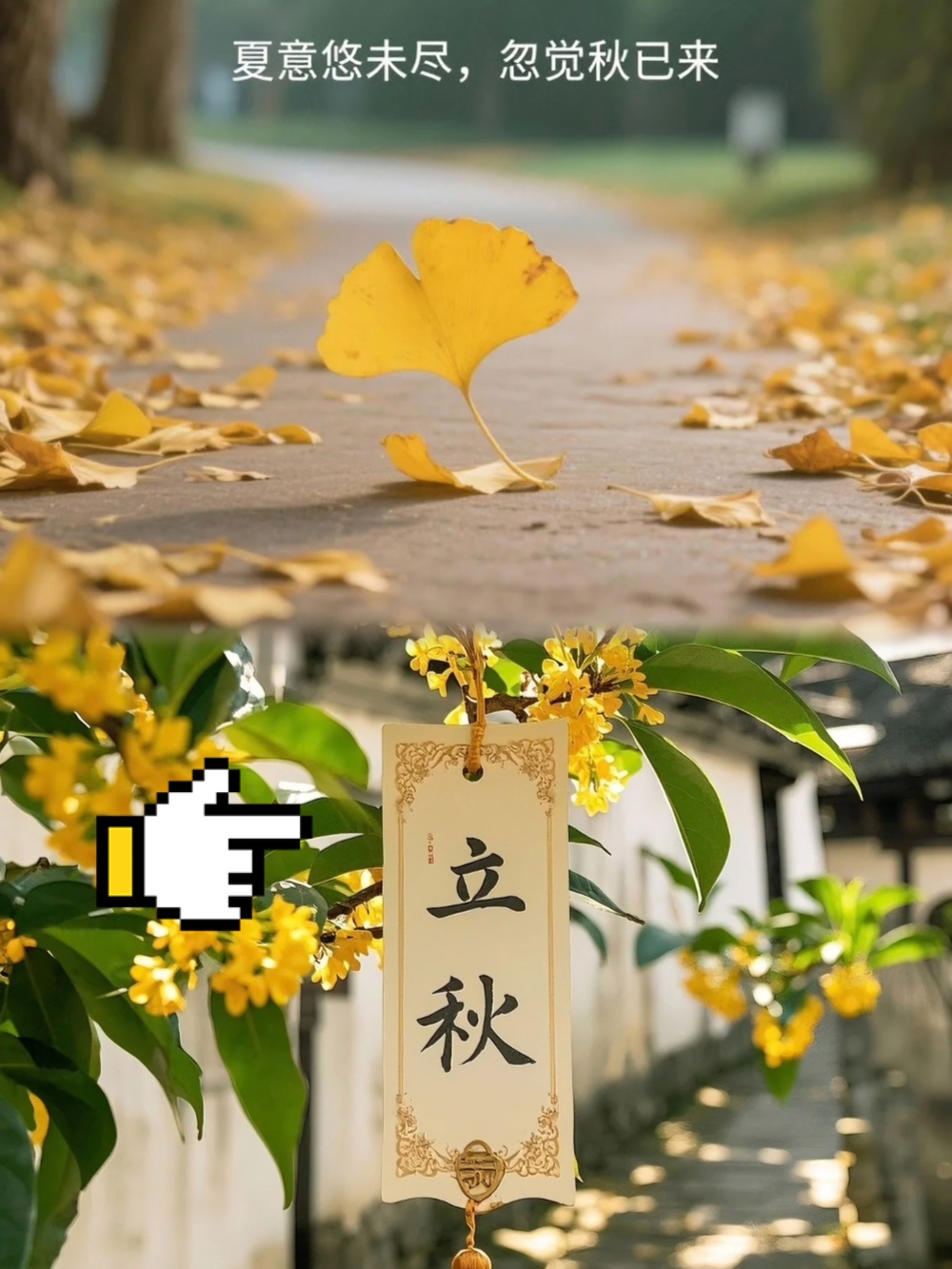 娱乐生活 第243页