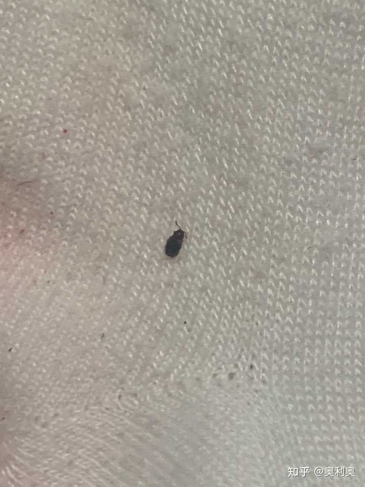 第1429页