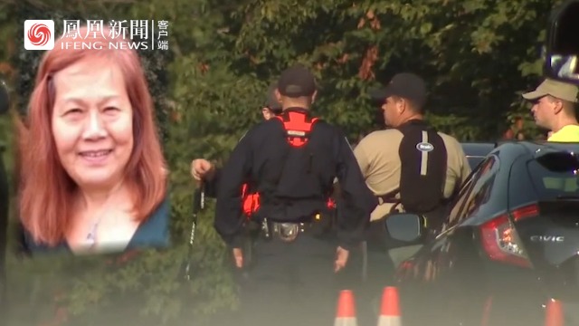 地方新闻 第223页