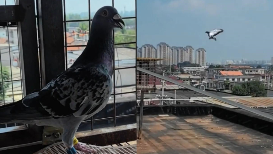 热点生活 第78页