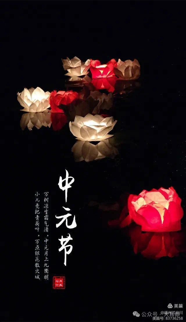 最新资讯 第54页