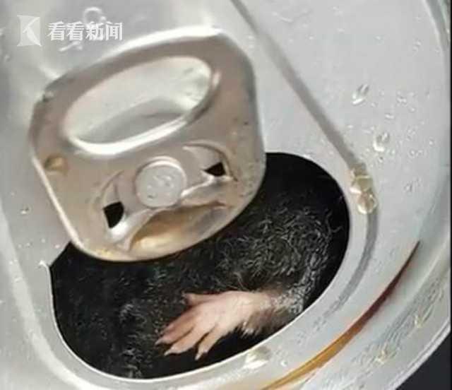 游戏专题 第50页