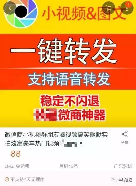 凝晚雪 第4页