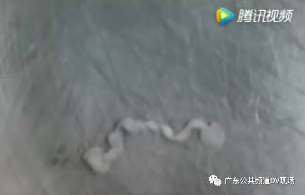 最新资讯 第376页