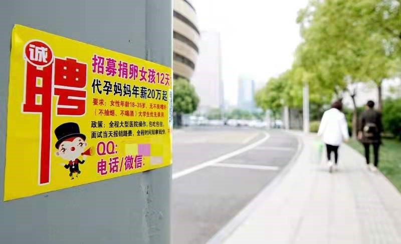 追逐幸福的脚步   第5页