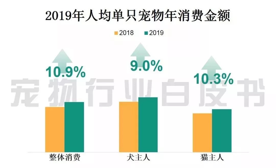花火绽放 第4页