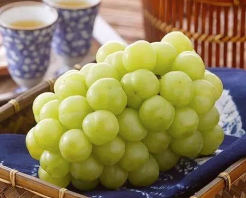 残梦灬留香 第4页
