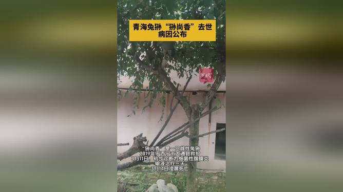 失落的宝藏  _1 第4页