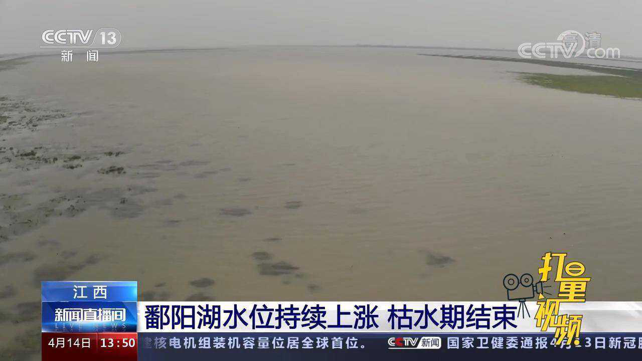 抹茶夏天i 第3页