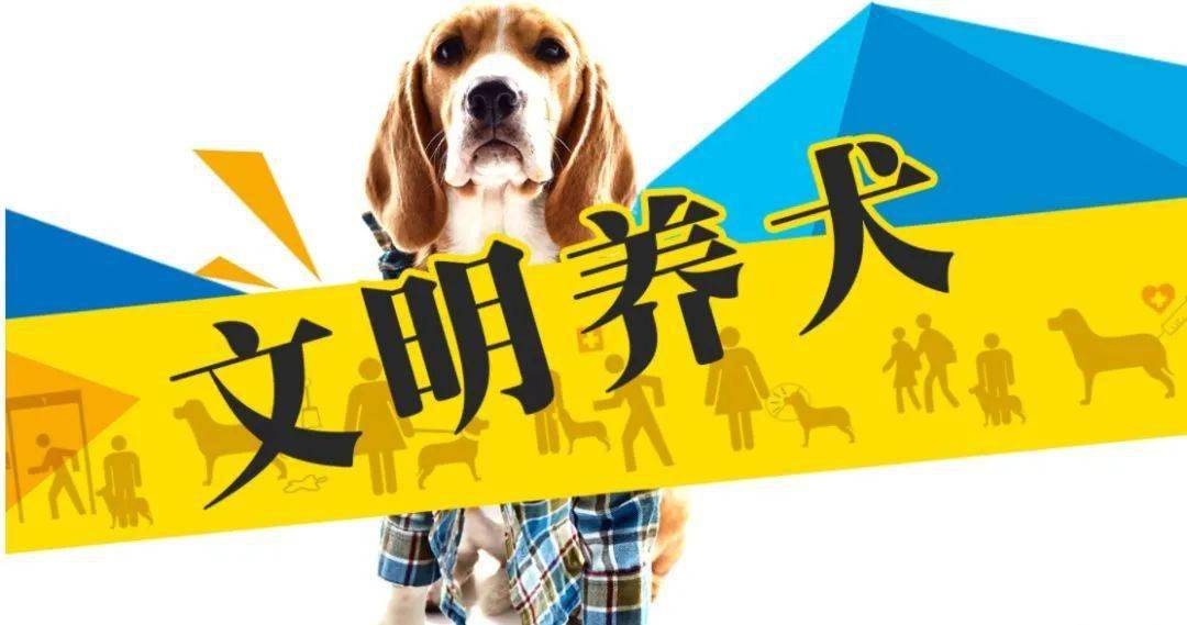 疾风之影 第3页