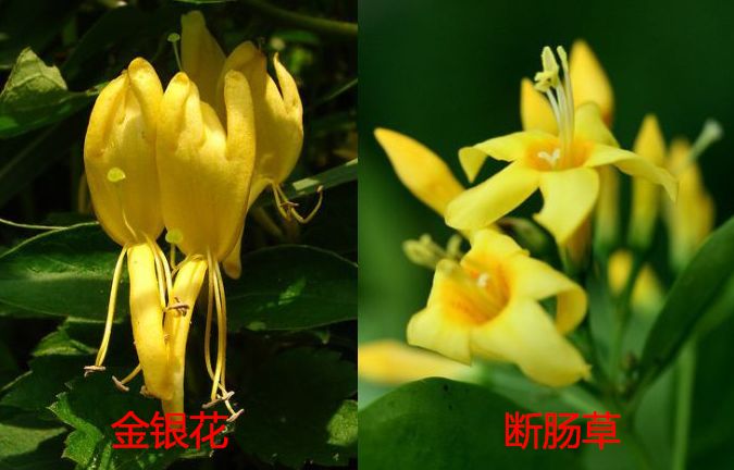 纸上的梦境  _2 第4页