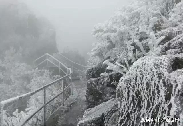 残痕滴泪 第2页