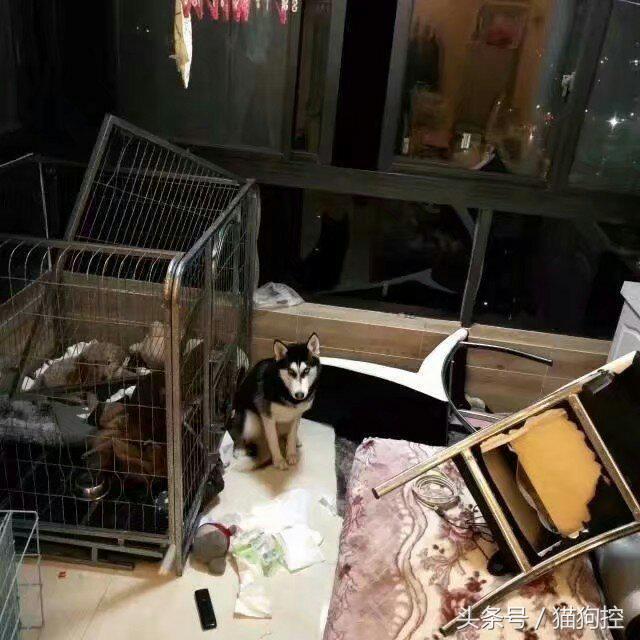 √孟婆给碗汤 第3页