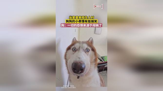 肩膀的忧伤 第2页