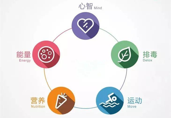 夜空中的烟火  _1