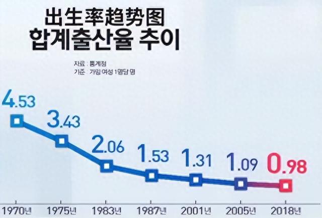 桃子小姐