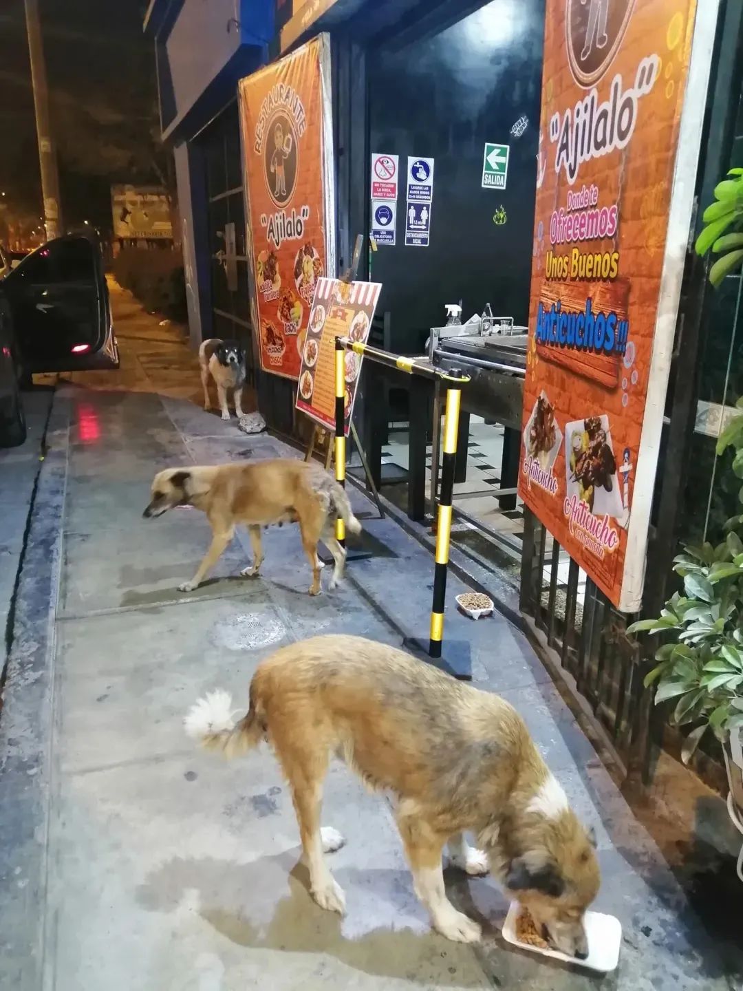 迷人的微笑  _1