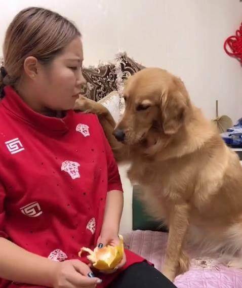 过往丶一文不值
