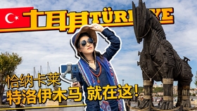 旅行者的足迹  